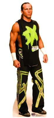 shawnmichaels.jpg